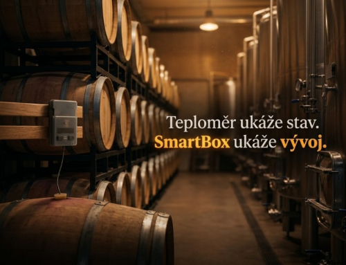 Září na vinicích a ve sklepích: Proč chytré měření porazí odhad podle pocitu
